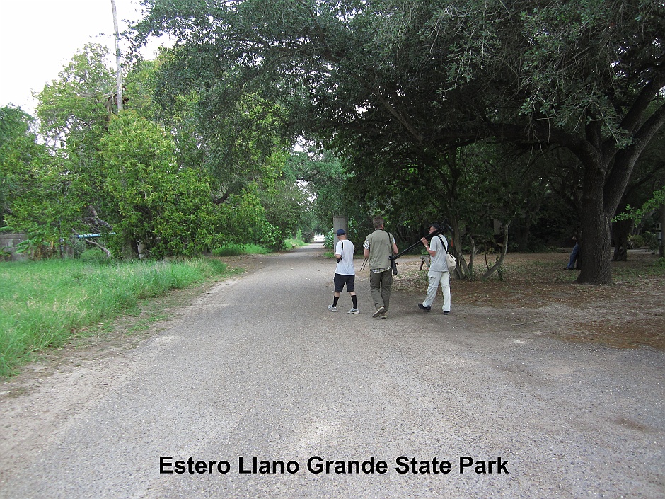 Estero Llano Grande State Park